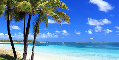 Boek nu een cruise naar de Caribbean online & bespaar tot -50% ! Cruises naar de Caribbean 2016 - 2017